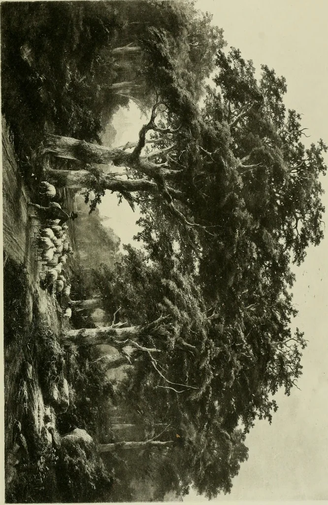 An illustration from Catalogue of works of art ... also views of the summer and winter homes, 1884, leaf 172