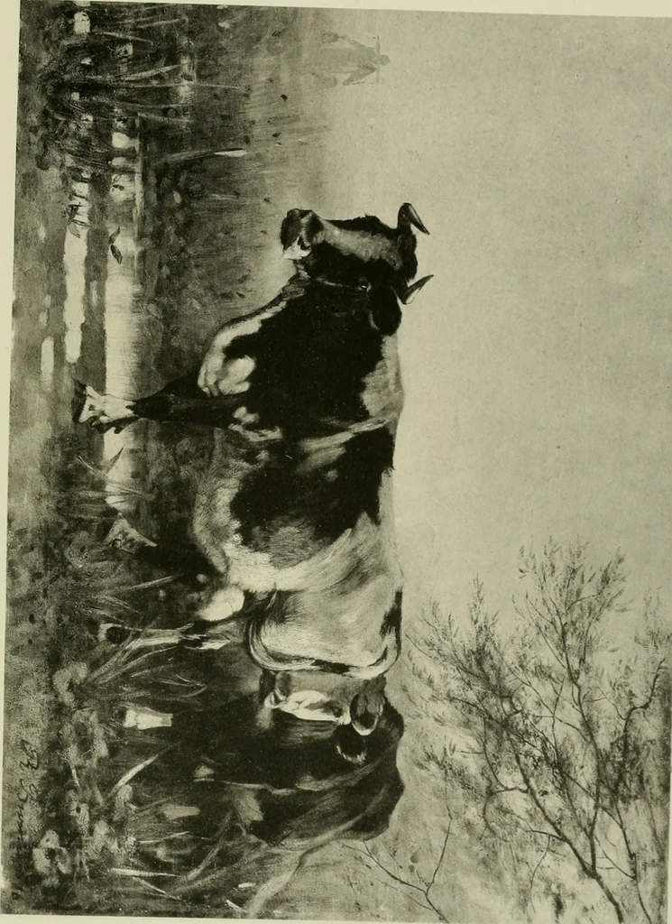 An illustration from Catalogue of works of art ... also views of the summer and winter homes, 1884, leaf 252