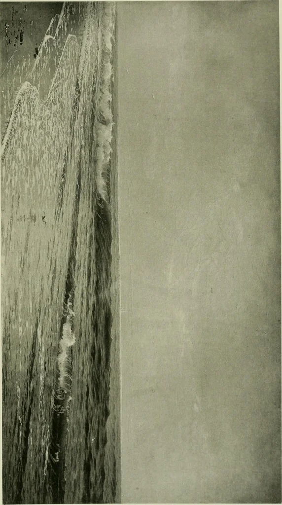 An illustration from Catalogue of works of art ... also views of the summer and winter homes, 1884, leaf 324