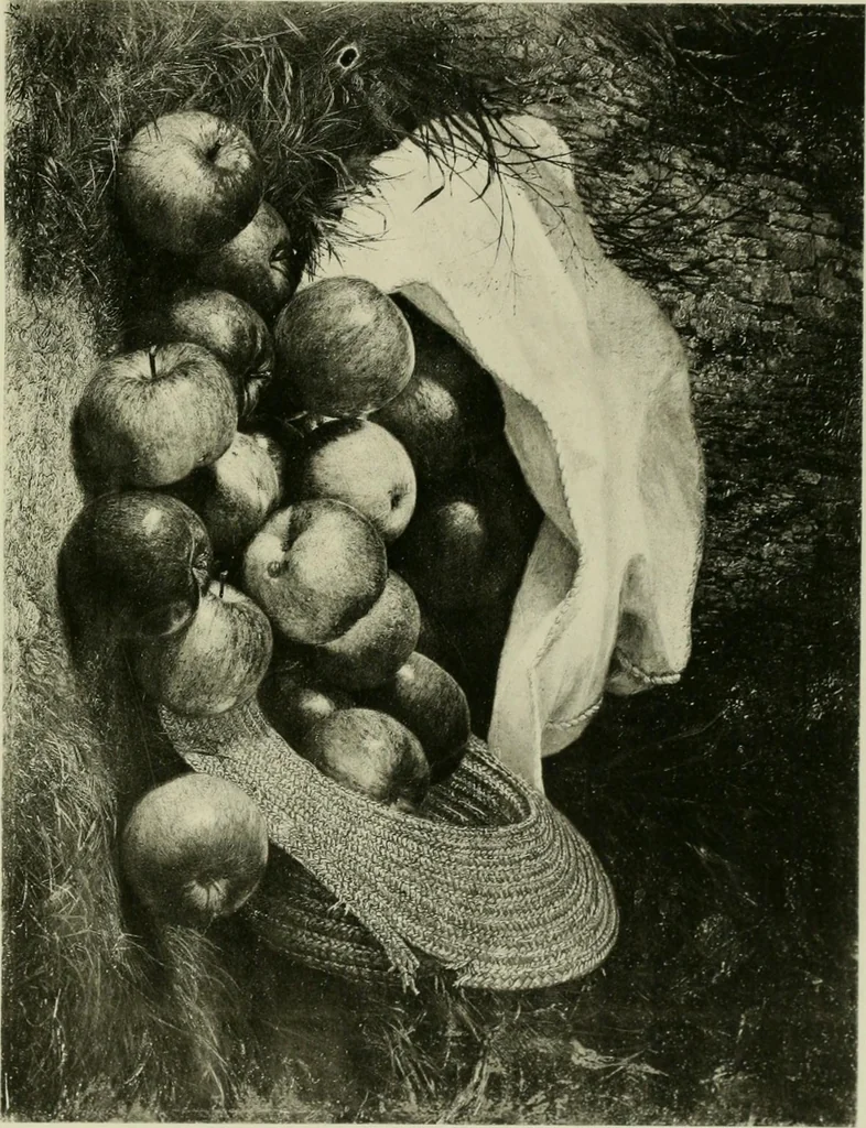 An illustration from Catalogue of works of art ... also views of the summer and winter homes, 1884, leaf 500
