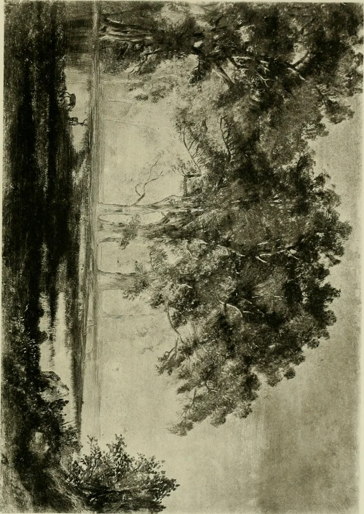 An illustration from Catalogue of works of art ... also views of the summer and winter homes, 1884, leaf 524