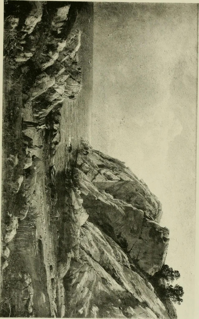 An illustration from Catalogue of works of art ... also views of the summer and winter homes, 1884, leaf 564