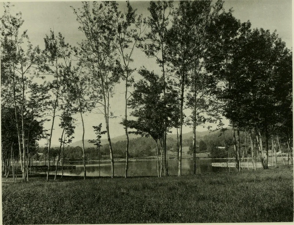 An illustration from Catalogue of works of art ... also views of the summer and winter homes, 1884, leaf 72