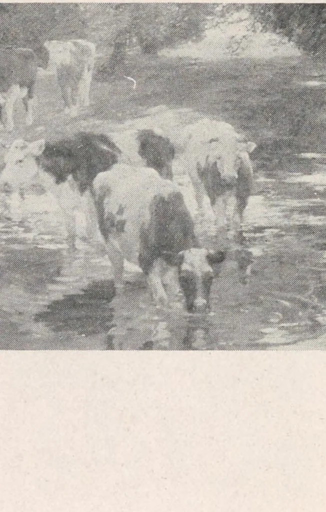An illustration from A catalogue of the pictures, drawings, prints and sculptures at the second exhibition of the International society of sculptors, painters, & gravers : held at Knightsbridge May-July 1899, 1899, leaf 122