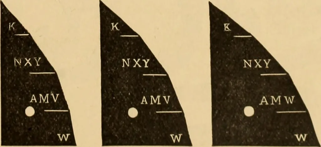 An illustration from A catalogue and price-list of drawing instruments, 1892, leaf 62