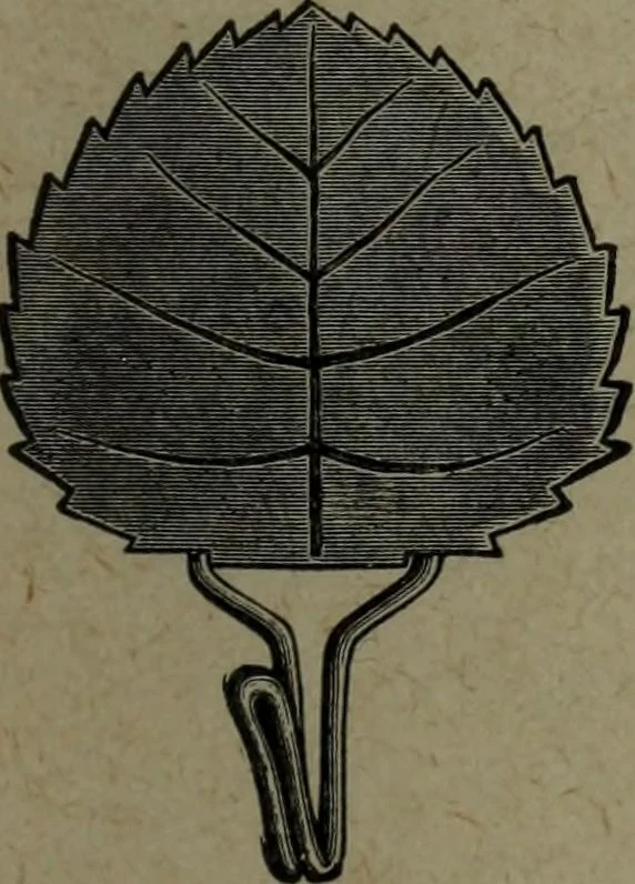 An illustration from Catalogue and price list of colors and materials for artists, architects, decorators, designers, and draughtsmen .., 1906, leaf 132