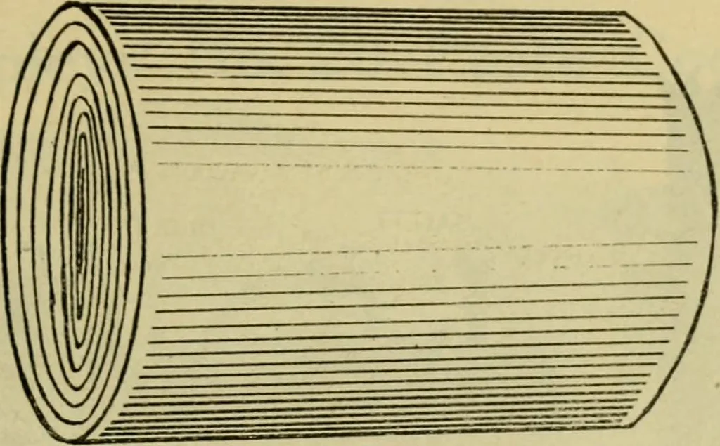 An illustration from Catalogue and price list of the Supply Department [serial], 1911, leaf 14