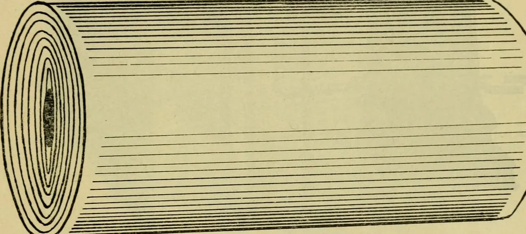 An illustration from Catalogue and price list of the Supply Department [serial], 1911, leaf 14