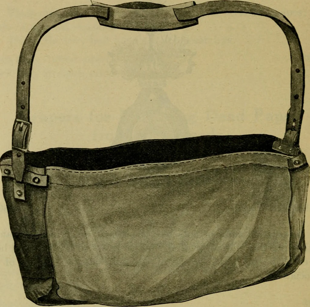 An illustration from Catalogue and price list of the Supply Department [serial], 1911, leaf 19