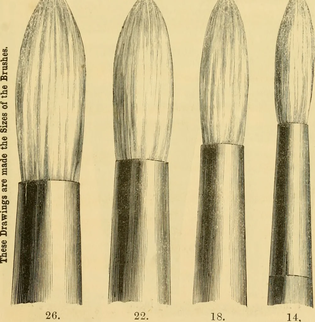 An illustration from Catalogue and price list of artists' materials., 1857, leaf 24