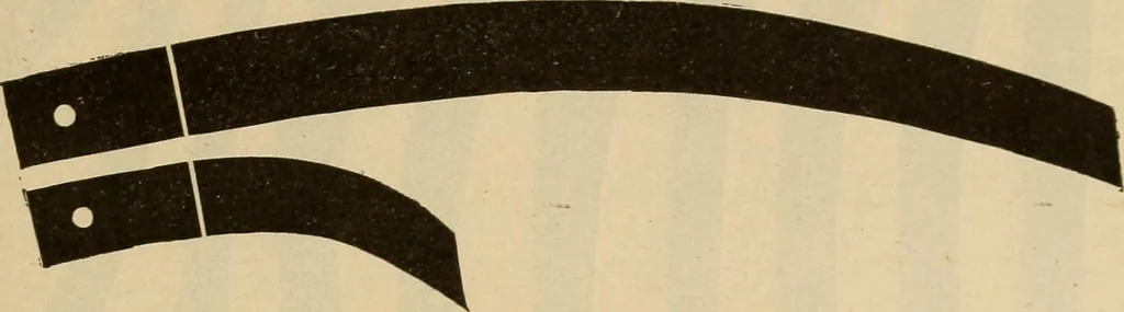 An illustration from Catalogue and price list of Mackey print paoer co., 1897, leaf 156