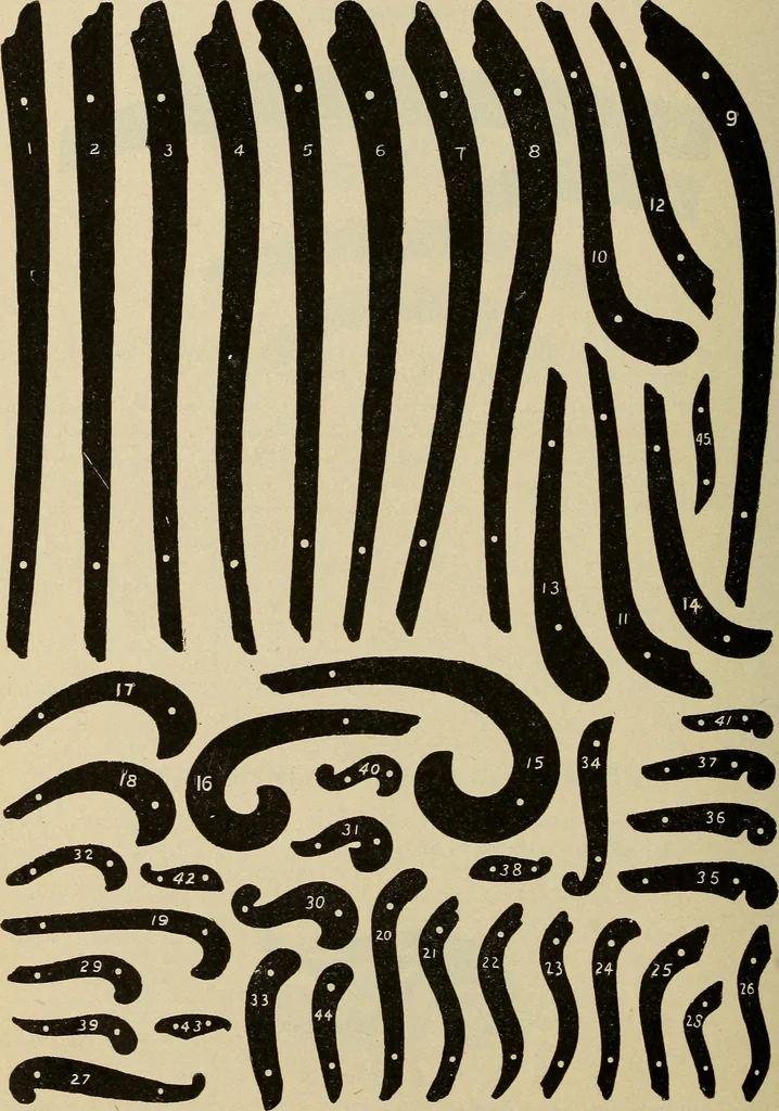 An illustration from Catalogue and price list of Mackey print paoer co., 1897, leaf 157