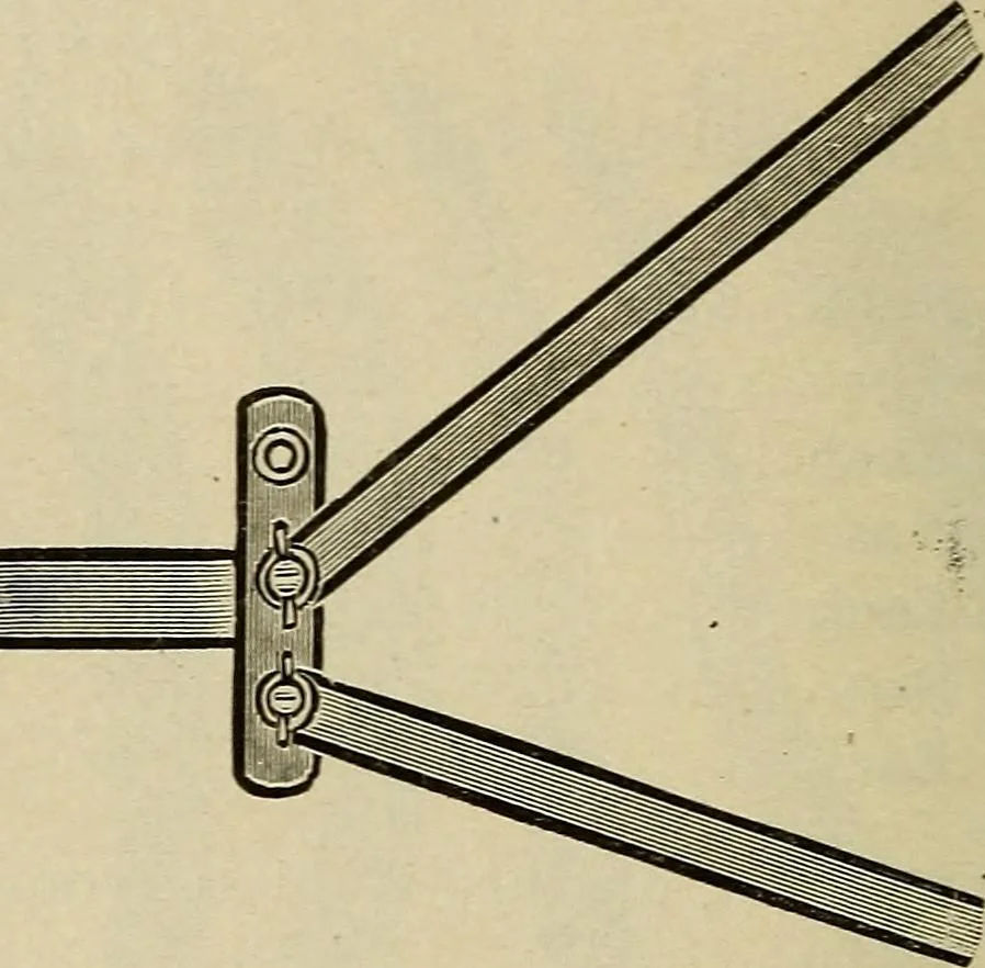 An illustration from Catalogue and price list of Mackey print paoer co., 1897, leaf 159