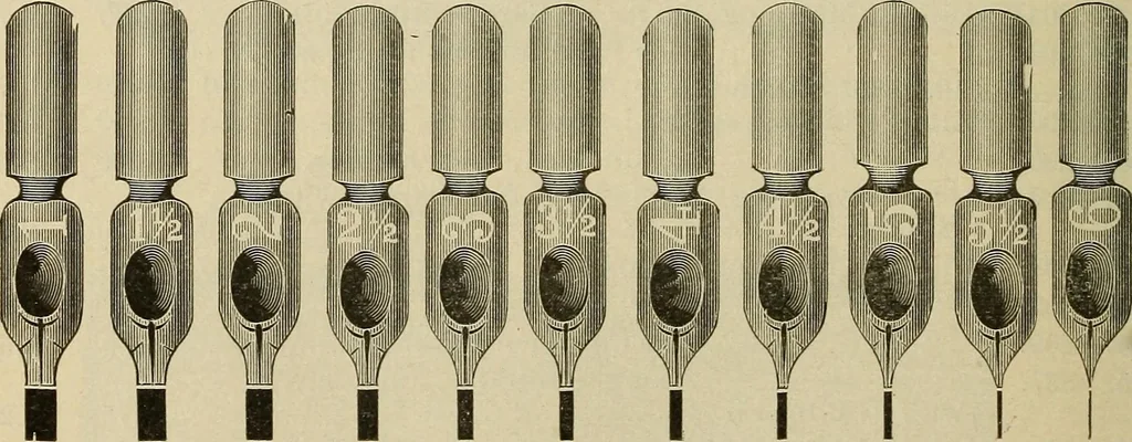 An illustration from Catalogue and price list of Mackey print paoer co., 1897, leaf 181