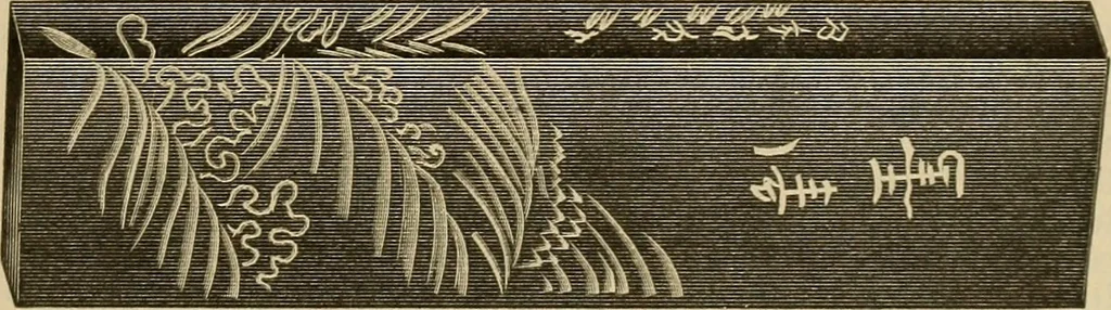 An illustration from Catalogue and price list of Mackey print paoer co., 1897, leaf 194