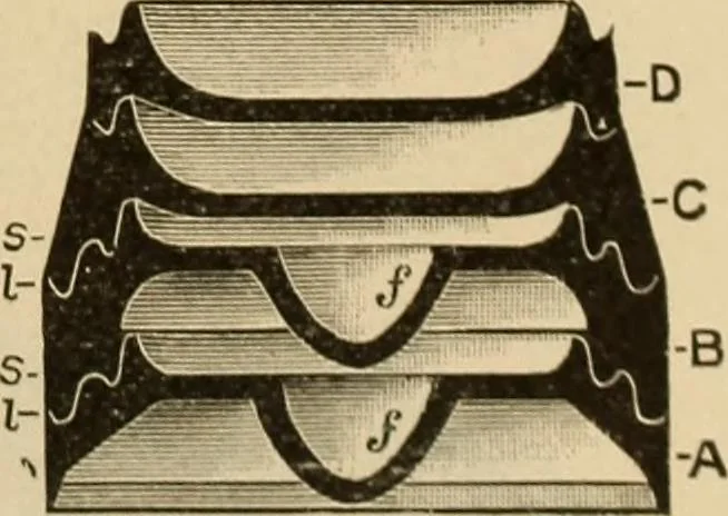 An illustration from Catalogue and price list of Mackey print paoer co., 1897, leaf 206