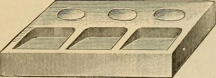 An illustration from Catalogue and price list of Mackey print paoer co., 1897, leaf 208