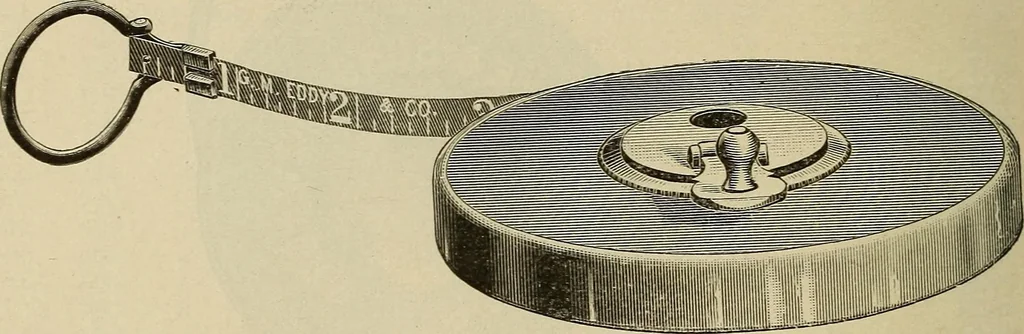 An illustration from Catalogue and price list of Mackey print paoer co., 1897, leaf 215