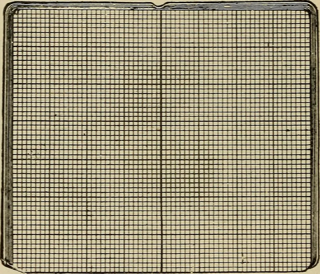 An illustration from Catalogue and price list of Mackey print paoer co., 1897, leaf 27