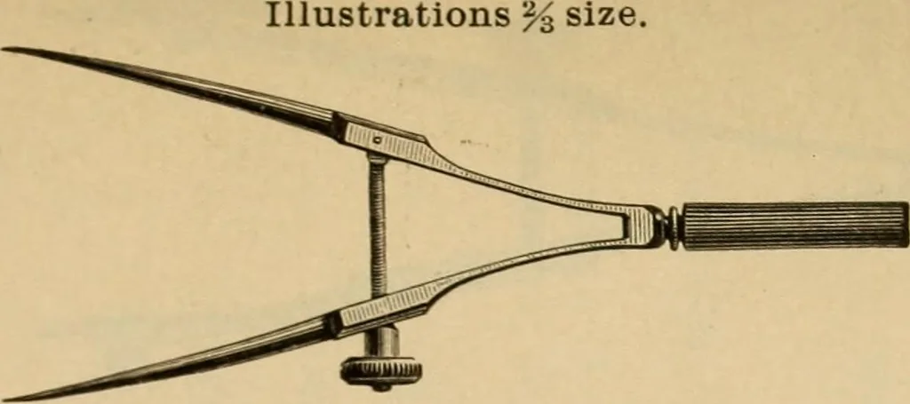 An illustration from Catalogue and price list of Mackey print paoer co., 1897, leaf 34