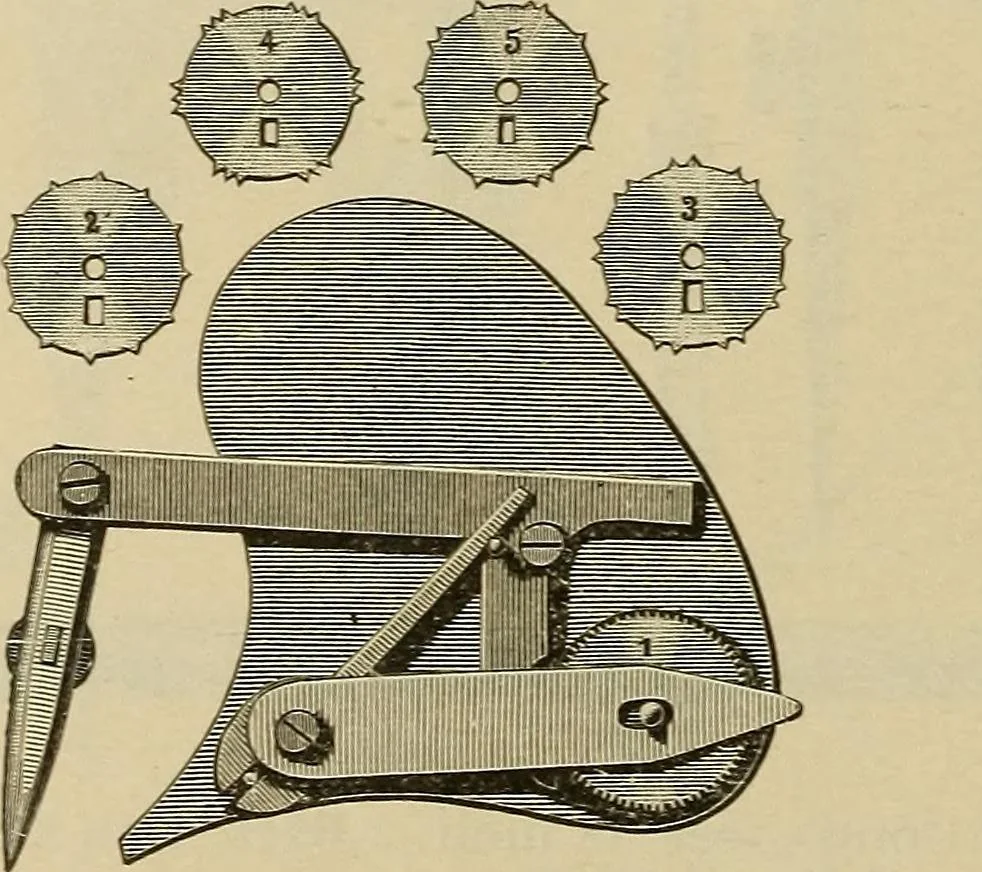 An illustration from Catalogue and price list of Mackey print paoer co., 1897, leaf 45