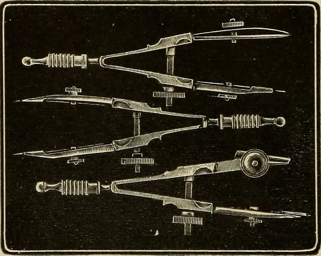 An illustration from Catalogue and price list of Mackey print paoer co., 1897, leaf 73