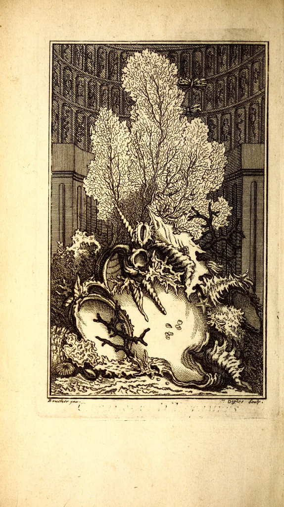 An illustration from Catalogue raisonné d'une collection considerable de diverses curiosités en tous genres : contenuës dans les cabinets de feu Monsieur Bonnier de la Mosson, bailly & capitaine des chasses de la Varenne des Thuilleries & ancien Colonel du regiment dauphin, 1744, leaf 7