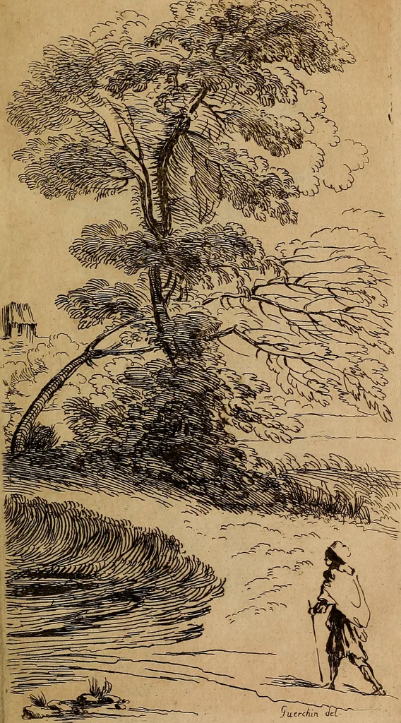 An illustration from Catalogue raisonné des différens objets de curiosités dans les sciences et arts : qui composoient le cabinet de feu Mr. Mariette, controleur général de la Grande Chancellerie de France ..., 1775, leaf 224