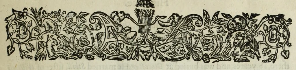 An illustration from A catalogue and succession of the kings, princes, dukes, marquesses, earles, and viscounts of this realme of England, since the Norman conquest, to this present yeare, 1619 : together, with their armes, wiues, and children : the times of their deaths and burials, with many their memorable actions, 1619, leaf 13