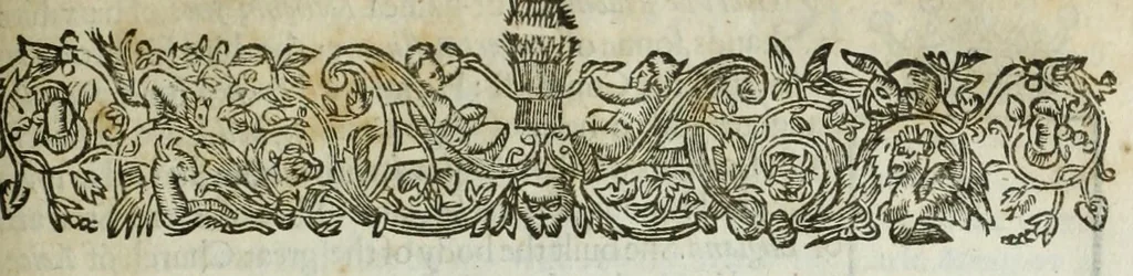 An illustration from A catalogue and succession of the kings, princes, dukes, marquesses, earles, and viscounts of this realme of England, since the Norman conquest, to this present yeare, 1619 : together, with their armes, wiues, and children : the times of their deaths and burials, with many their memorable actions, 1619, leaf 197