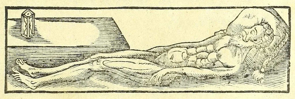 An illustration from Catalogus antiquarum et novarum rerum ex longe dissitis terrarum oris,, 1699, leaf 5