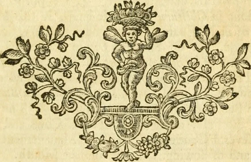 An illustration from Catalogus bibliothecae Harleianae, in locos communes distributus cum indice auctorum, 1743, leaf 596