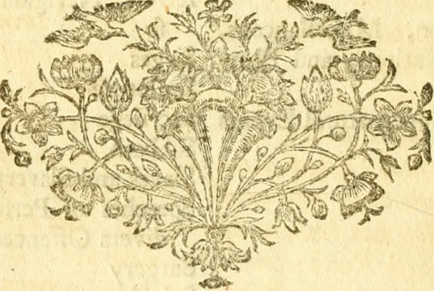 An illustration from Catalogus bibliothecae Harleianae, in locos communes distributus cum indice auctorum, 1743, leaf 11