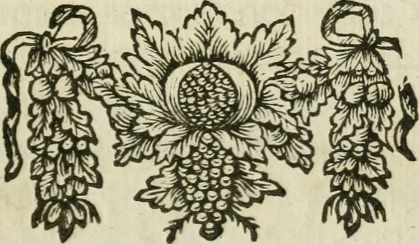 An illustration from Catalogus centuriae librorum rarissimorum manuscript. & partim impressorum, arabicorum, persicorum, turcicorum, graecorum, latinorum, &c. : qua anno MDCCV bibliothecam publicam Academiae upsalensis auxit & exornavit, 1706, leaf 2