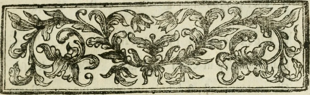 An illustration from Catalogus centuriae librorum rarissimorum manuscript. & partim impressorum, arabicorum, persicorum, turcicorum, graecorum, latinorum, &c. : qua anno MDCCV bibliothecam publicam Academiae upsalensis auxit & exornavit, 1706, leaf 8