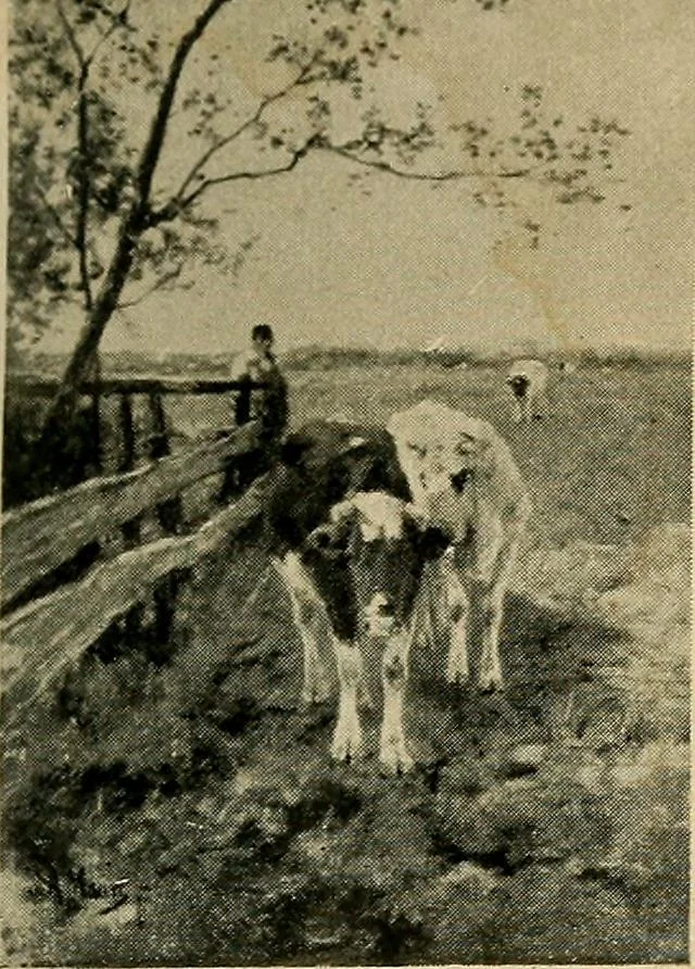 An illustration from Catalogus der schilderijen, miniaturen, pastels, omlijste teekeningen enz in het Rijks-Museum te Amsterdam, 1903, leaf 264