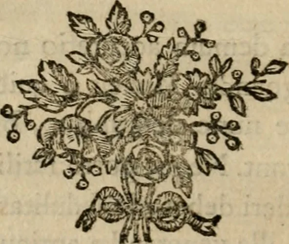 An illustration from Catalogus manuscriptorum codicum Collegii Claromontani : quem excipit catalogus mssrum. domûs professae Parisiensis, 1764, leaf 57