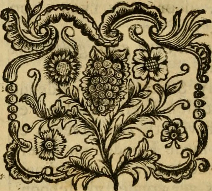 An illustration from Catalogus of naamlyst van schilderyen met derzelver pryzen, zedert een langen reeks van jaaren zoo in Holland als op andere plaatzen in het openbaar verkogt, benevens een verzameling van lysten van verscheyden nog in wezen zynde cabinetten, 1752, leaf 771