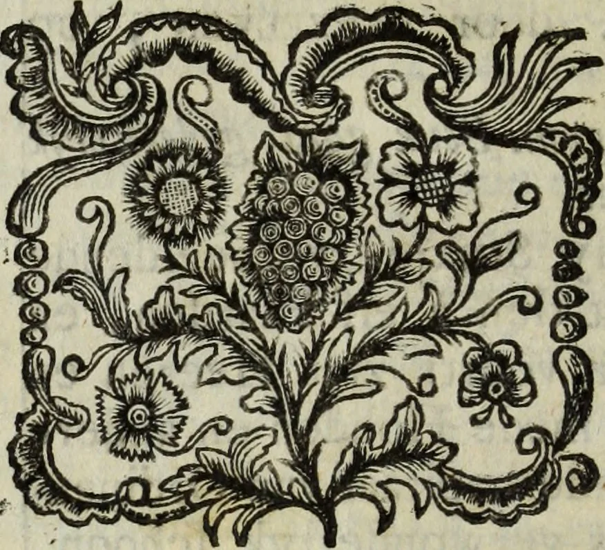 An illustration from Catalogus of naamlyst van schilderyen met derzelver pryzen, zedert een langen reeks van jaaren zoo in Holland als op andere plaatzen in het openbaar verkogt, benevens een verzameling van lysten van verscheyden nog in wezen zynde cabinetten, 1752, leaf 771