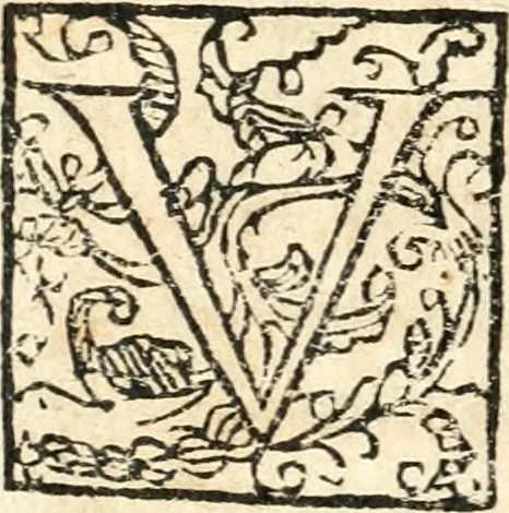 An illustration from Catalogus sanctorum et beatorum totius ordinis Camaldulensis : in quo etiam religionis initium, & viri dignitate atq[ue] virtutibus clari describuntur, 1606, leaf 29