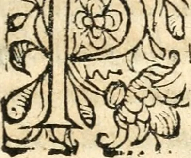 An illustration from Catalogus sanctorum et beatorum totius ordinis Camaldulensis : in quo etiam religionis initium, & viri dignitate atq[ue] virtutibus clari describuntur, 1606, leaf 34