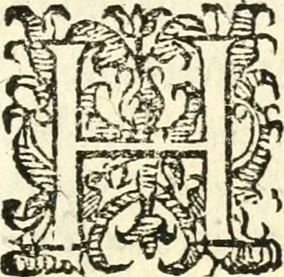 An illustration from Catalogus sanctorum et beatorum totius ordinis Camaldulensis : in quo etiam religionis initium, & viri dignitate atq[ue] virtutibus clari describuntur, 1606, leaf 36