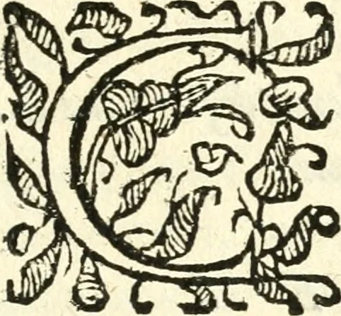 An illustration from Catalogus sanctorum et beatorum totius ordinis Camaldulensis : in quo etiam religionis initium, & viri dignitate atq[ue] virtutibus clari describuntur, 1606, leaf 40