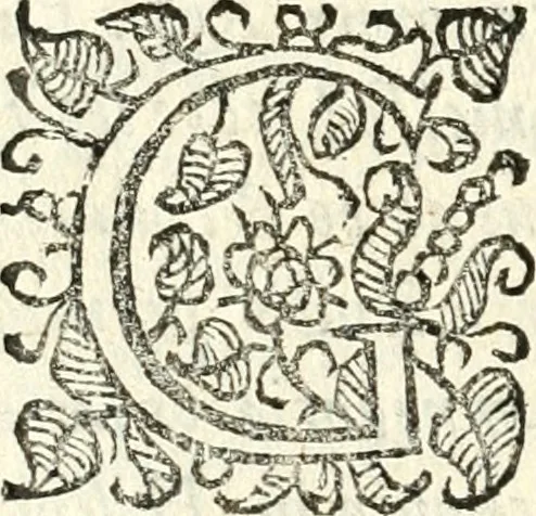 An illustration from Catalogus sanctorum et beatorum totius ordinis Camaldulensis : in quo etiam religionis initium, & viri dignitate atq[ue] virtutibus clari describuntur, 1606, leaf 41