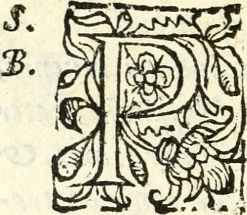 An illustration from Catalogus sanctorum et beatorum totius ordinis Camaldulensis : in quo etiam religionis initium, & viri dignitate atq[ue] virtutibus clari describuntur, 1606, leaf 43
