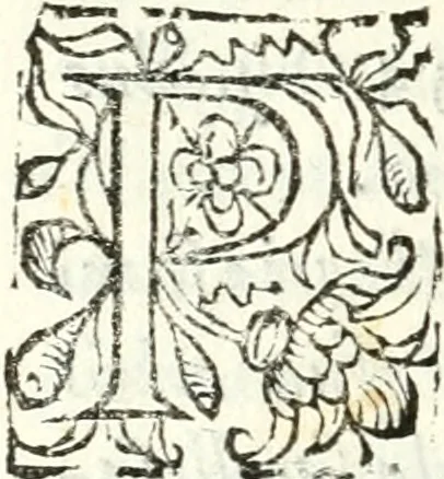 An illustration from Catalogus sanctorum et beatorum totius ordinis Camaldulensis : in quo etiam religionis initium, & viri dignitate atq[ue] virtutibus clari describuntur, 1606, leaf 49