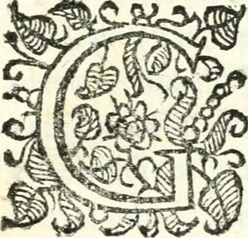 An illustration from Catalogus sanctorum et beatorum totius ordinis Camaldulensis : in quo etiam religionis initium, & viri dignitate atq[ue] virtutibus clari describuntur, 1606, leaf 52