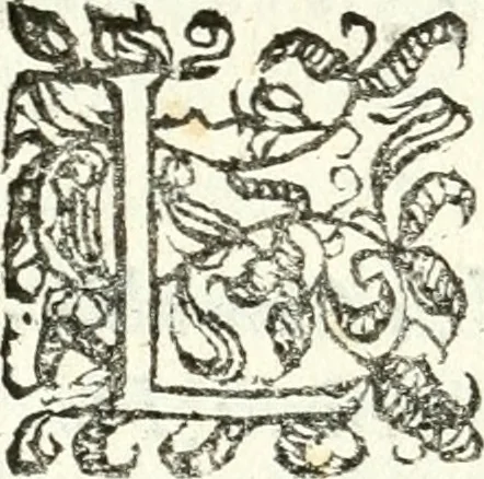 An illustration from Catalogus sanctorum et beatorum totius ordinis Camaldulensis : in quo etiam religionis initium, & viri dignitate atq[ue] virtutibus clari describuntur, 1606, leaf 53
