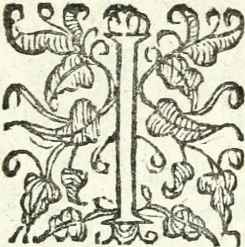 An illustration from Catalogus sanctorum et beatorum totius ordinis Camaldulensis : in quo etiam religionis initium, & viri dignitate atq[ue] virtutibus clari describuntur, 1606, leaf 54