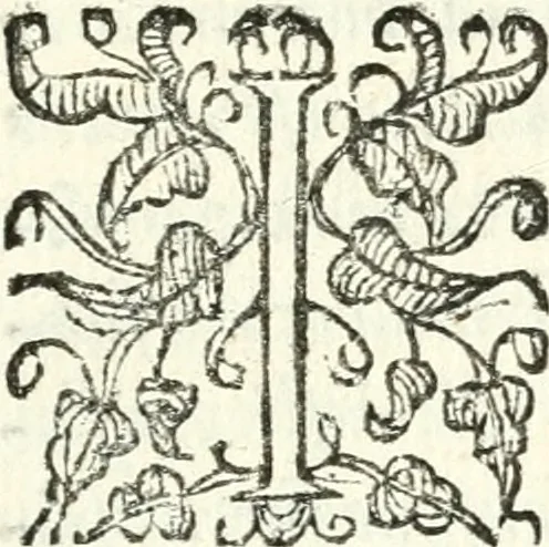 An illustration from Catalogus sanctorum et beatorum totius ordinis Camaldulensis : in quo etiam religionis initium, & viri dignitate atq[ue] virtutibus clari describuntur, 1606, leaf 56